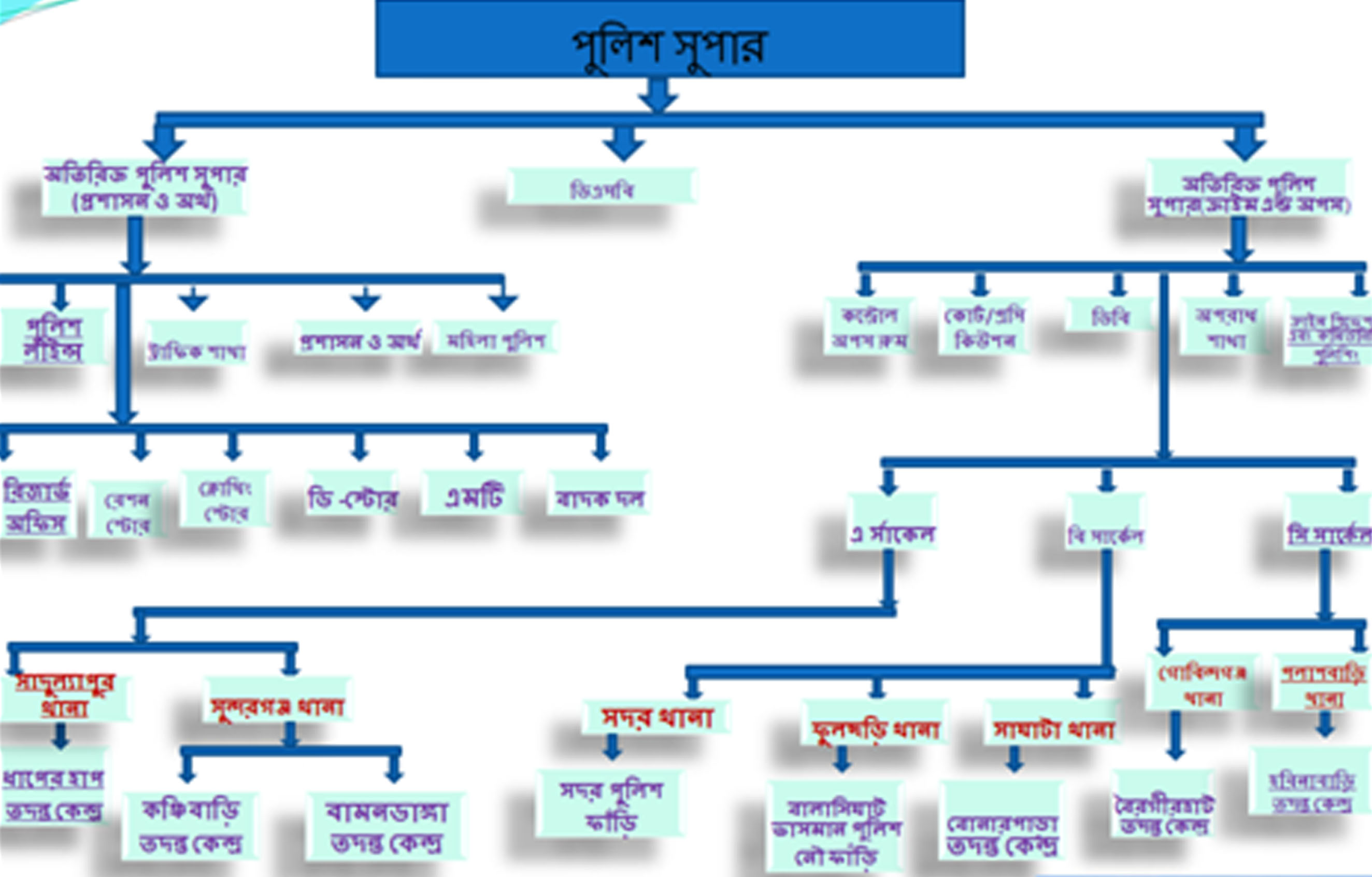 Organogram